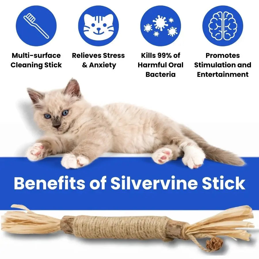 SilverBite™ – Natural Dental Chew Sticks for Cats