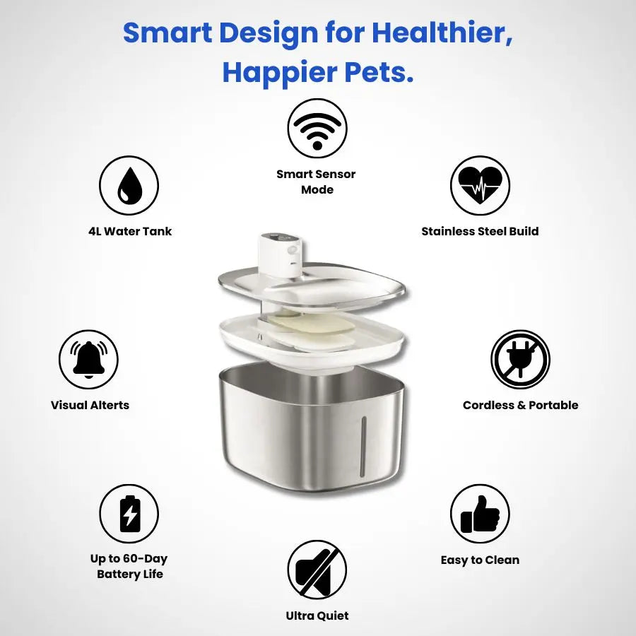 HydraPure™ – Smarter Hydration, Happier Cats