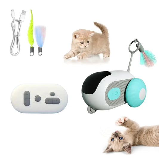 CatRacer™