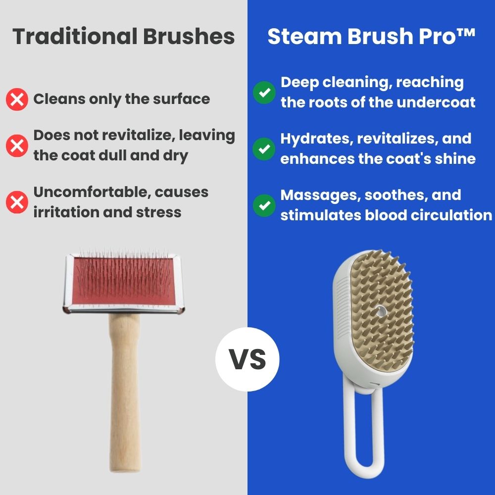 Steam Brush Pro™