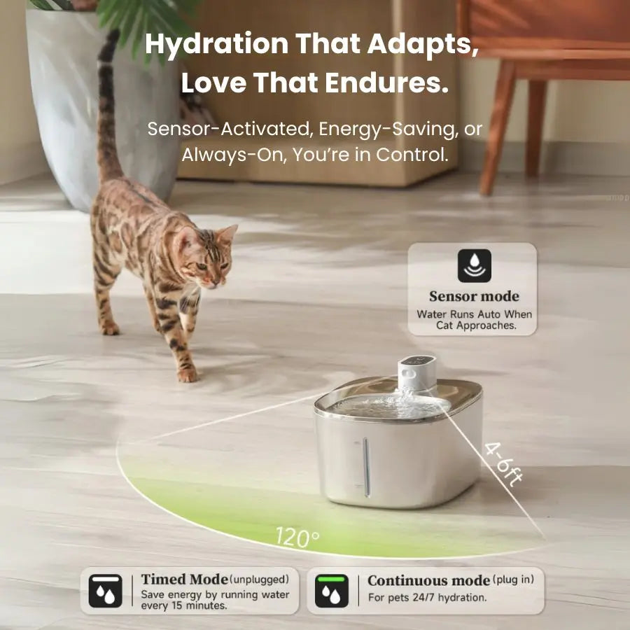 HydraPure™ – Smarter Hydration, Happier Cats