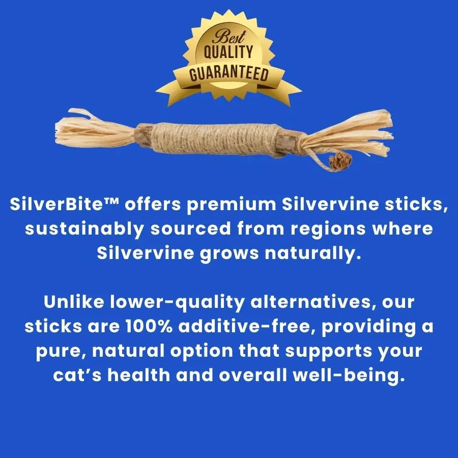 SilverBite™ – Natural Dental Chew Sticks for Cats