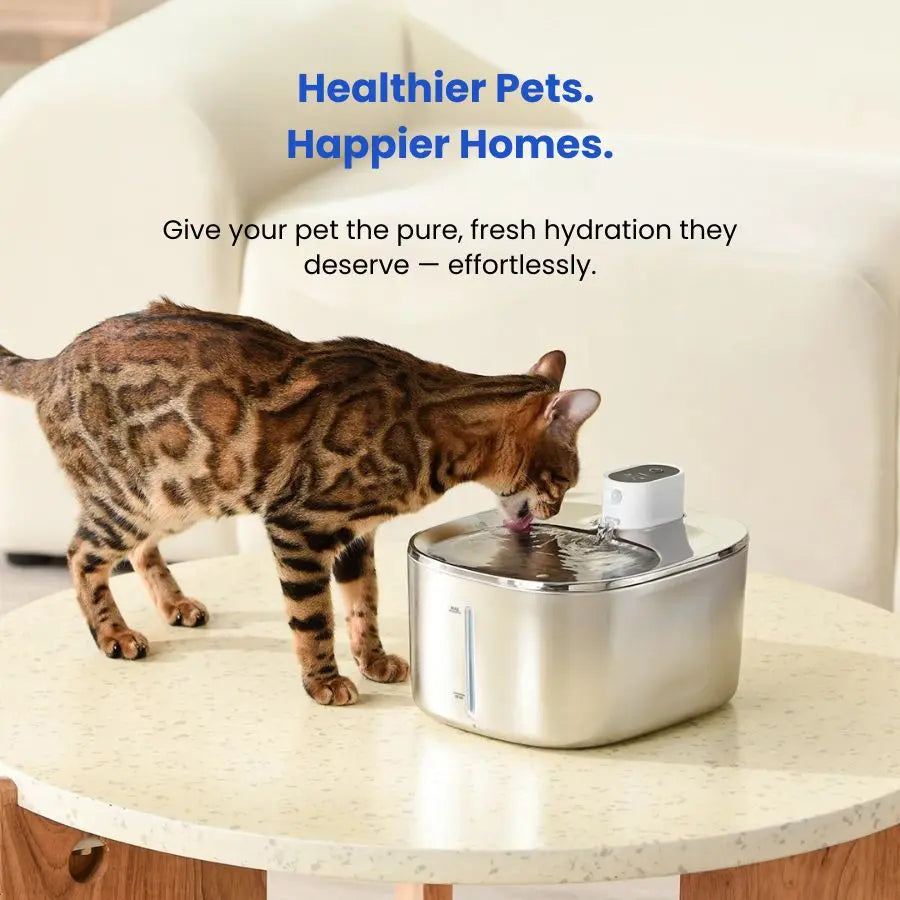 HydraPure™ – Smarter Hydration, Happier Cats
